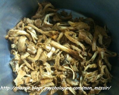 Girolles