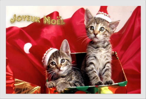 Carte_noel023